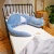 dinosaur pillow 1.jpg